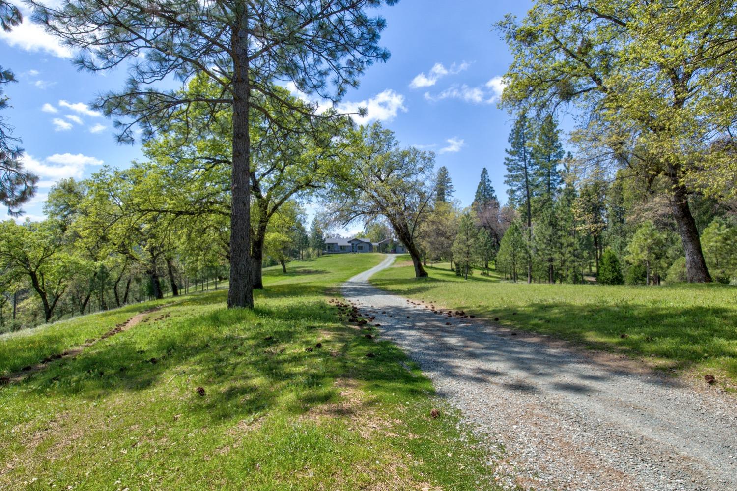 Detail Gallery Image 11 of 99 For 7401 Schaad Rd, Wilseyville,  CA 95257 - 2 Beds | 2 Baths