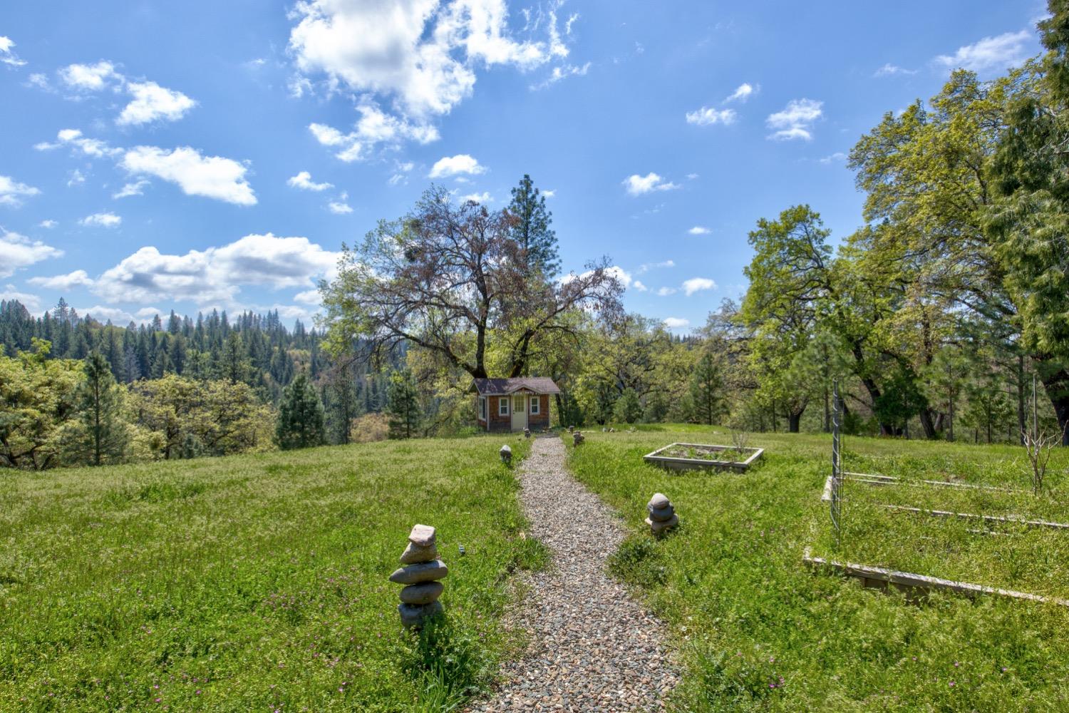 Detail Gallery Image 66 of 99 For 7401 Schaad Rd, Wilseyville,  CA 95257 - 2 Beds | 2 Baths