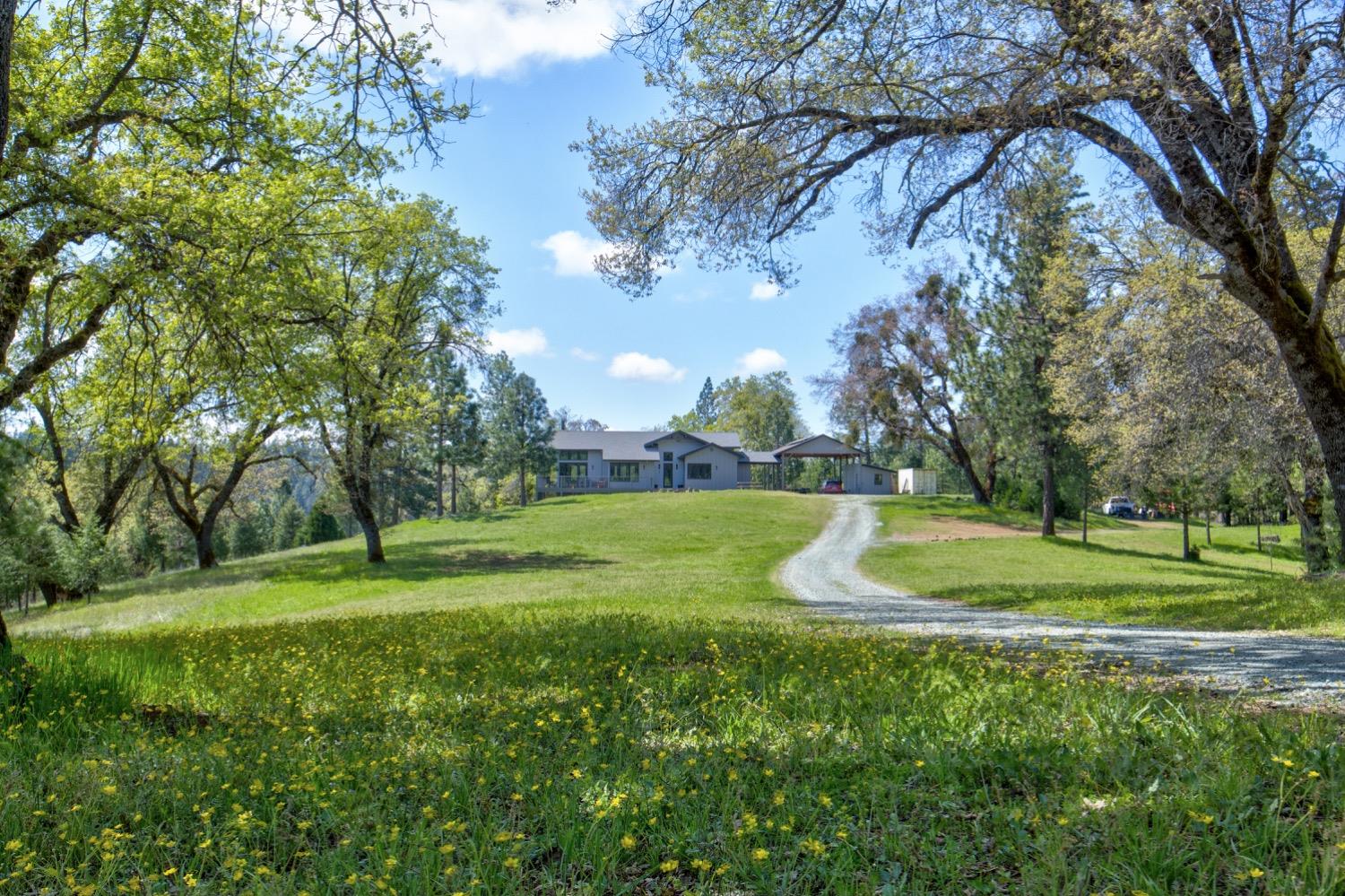Detail Gallery Image 13 of 99 For 7401 Schaad Rd, Wilseyville,  CA 95257 - 2 Beds | 2 Baths