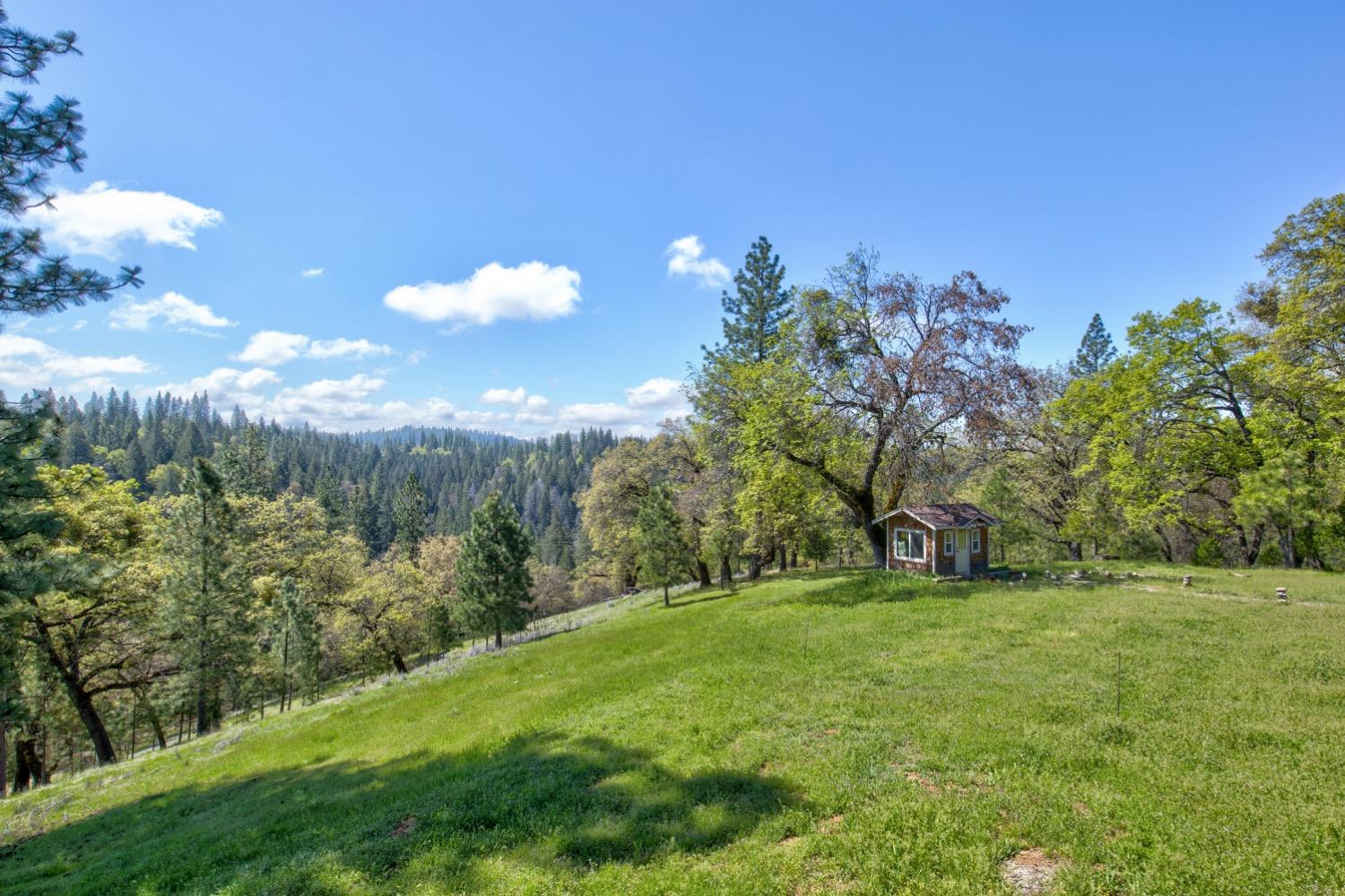 Detail Gallery Image 62 of 99 For 7401 Schaad Rd, Wilseyville,  CA 95257 - 2 Beds | 2 Baths