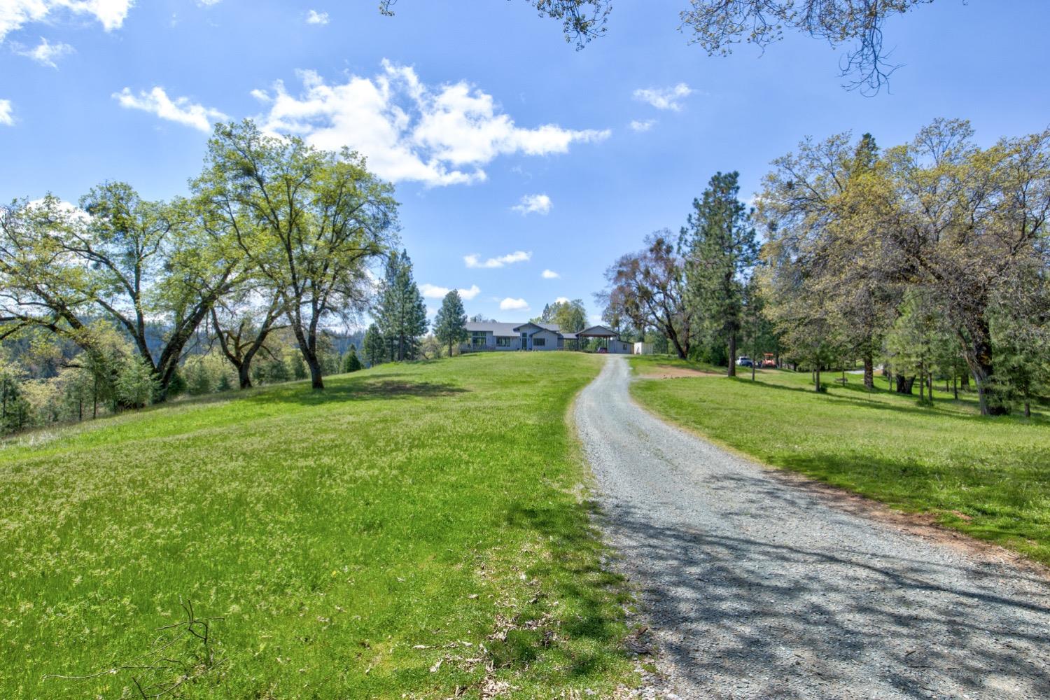 Detail Gallery Image 14 of 99 For 7401 Schaad Rd, Wilseyville,  CA 95257 - 2 Beds | 2 Baths