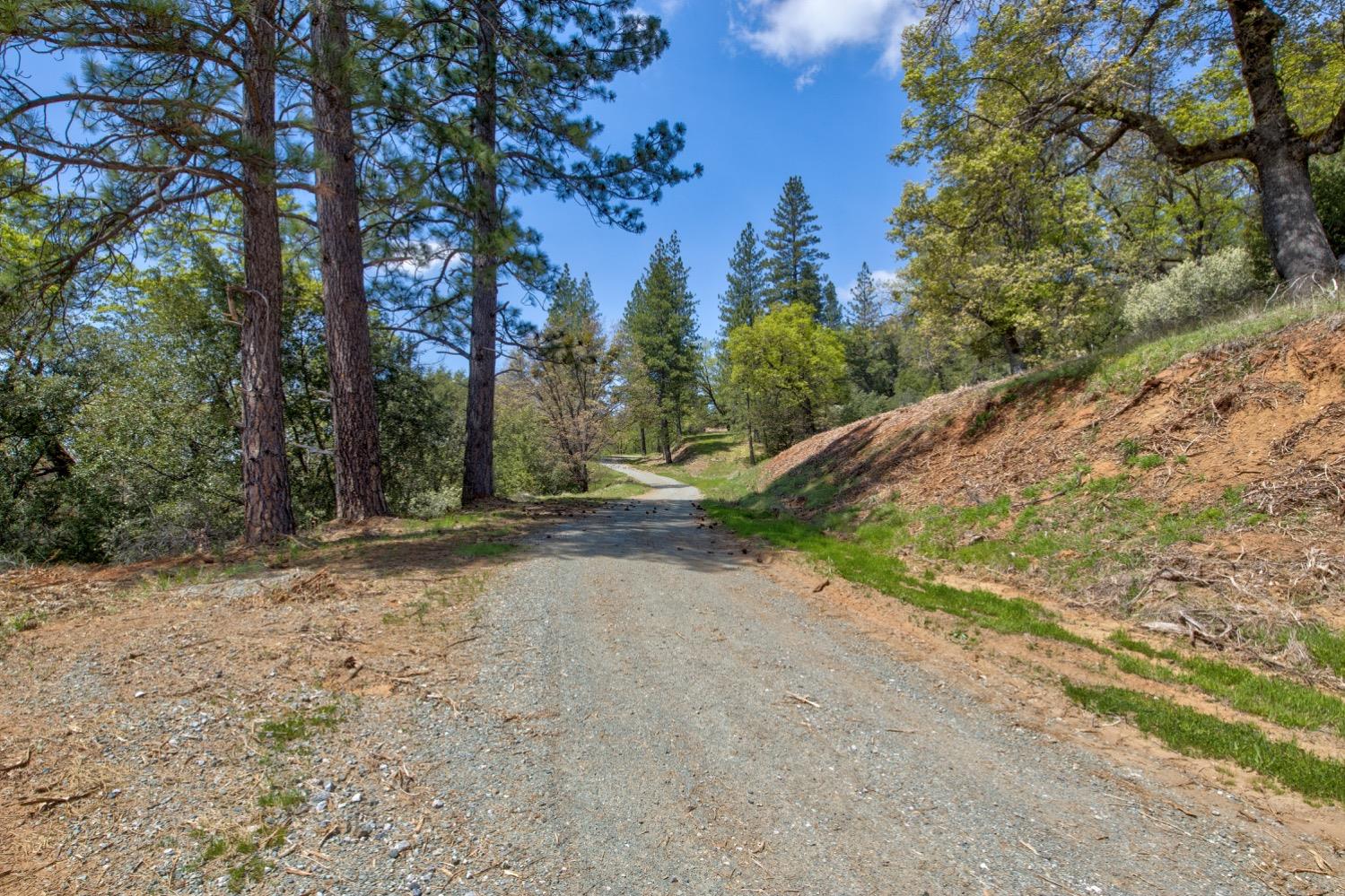 Detail Gallery Image 3 of 99 For 7401 Schaad Rd, Wilseyville,  CA 95257 - 2 Beds | 2 Baths