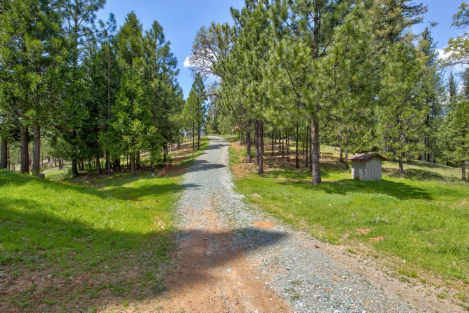 Detail Gallery Image 71 of 99 For 7401 Schaad Rd, Wilseyville,  CA 95257 - 2 Beds | 2 Baths