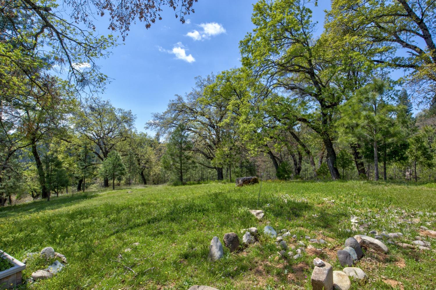 Detail Gallery Image 69 of 99 For 7401 Schaad Rd, Wilseyville,  CA 95257 - 2 Beds | 2 Baths