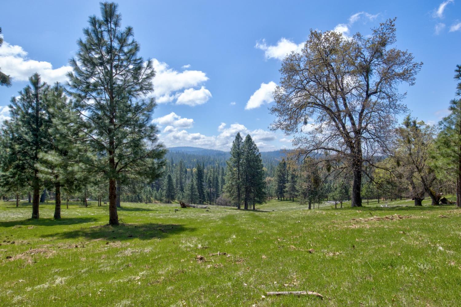 Detail Gallery Image 88 of 99 For 7401 Schaad Rd, Wilseyville,  CA 95257 - 2 Beds | 2 Baths