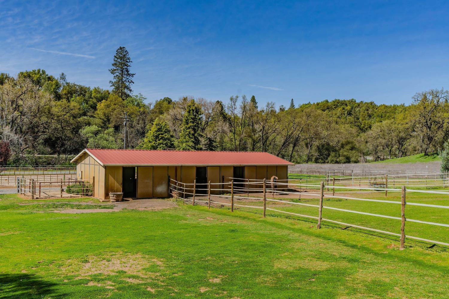 Detail Gallery Image 84 of 98 For 15900 State Highway 88, Jackson,  CA 95642 - 3 Beds | 2 Baths