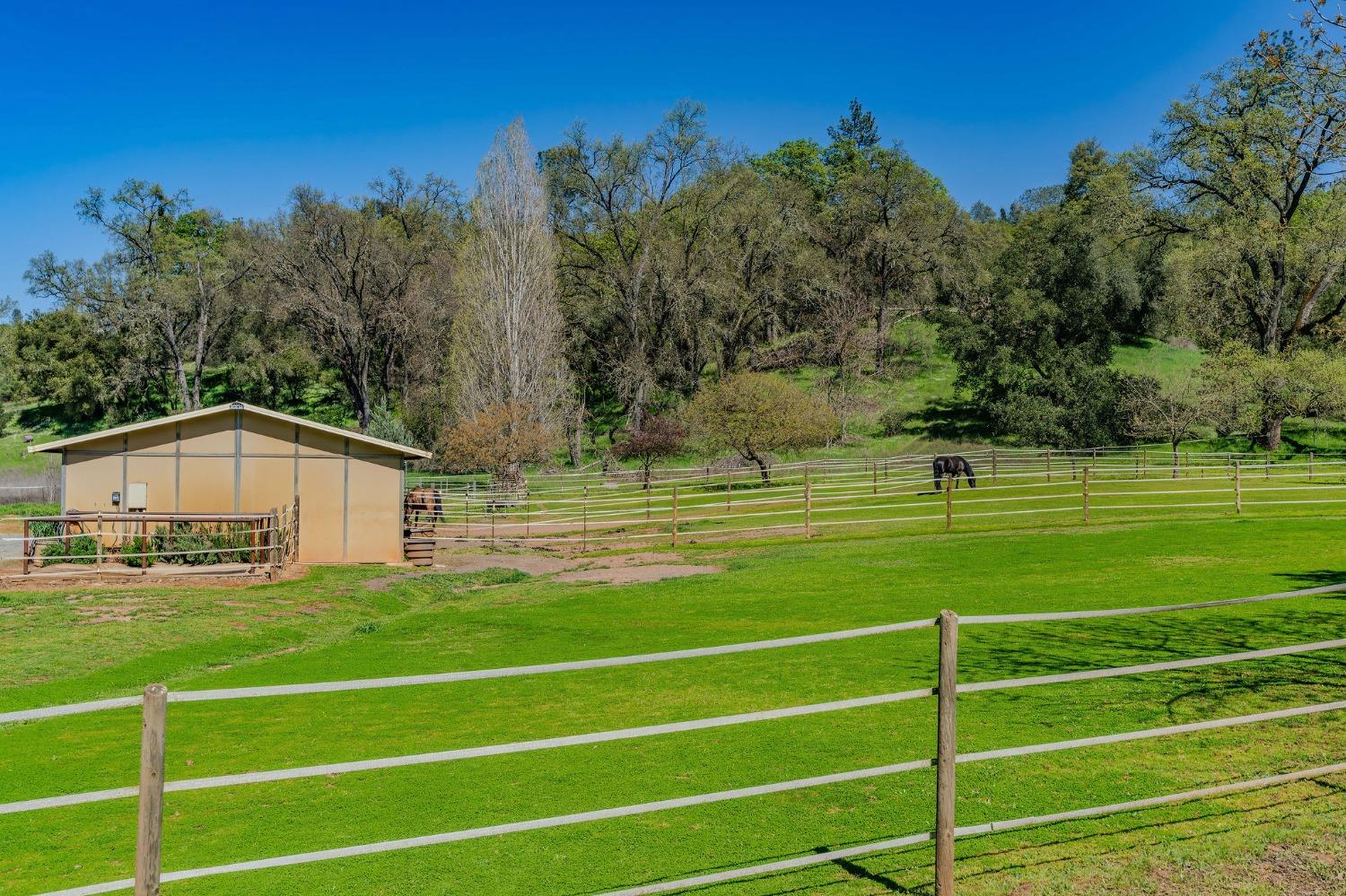 Detail Gallery Image 69 of 98 For 15900 State Highway 88, Jackson,  CA 95642 - 3 Beds | 2 Baths