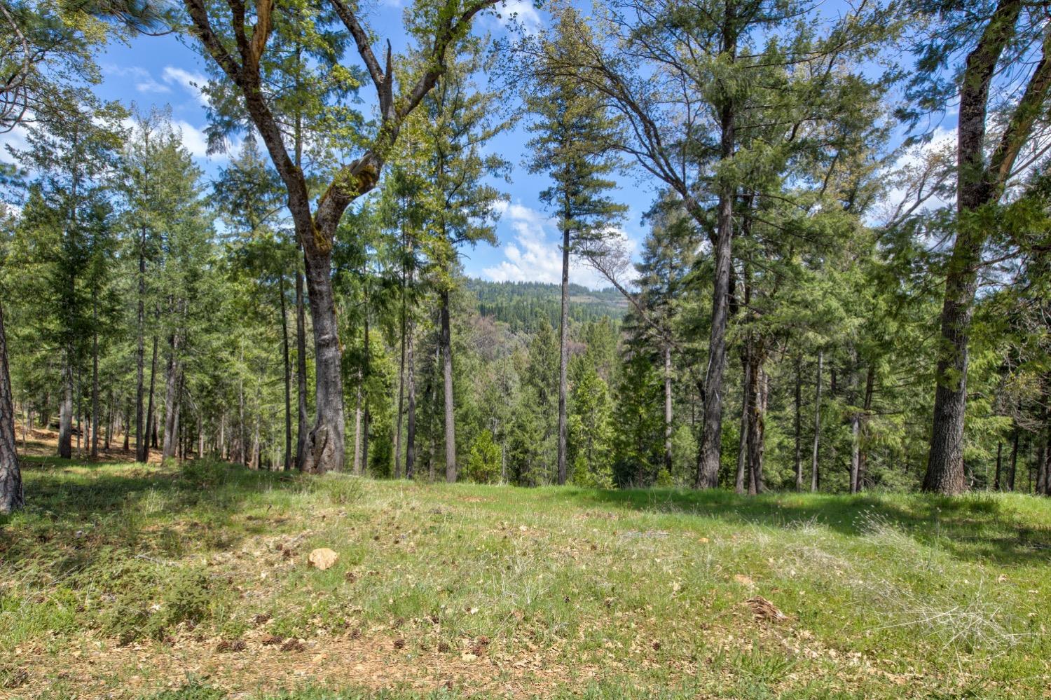 Detail Gallery Image 77 of 99 For 7401 Schaad Rd, Wilseyville,  CA 95257 - 2 Beds | 2 Baths
