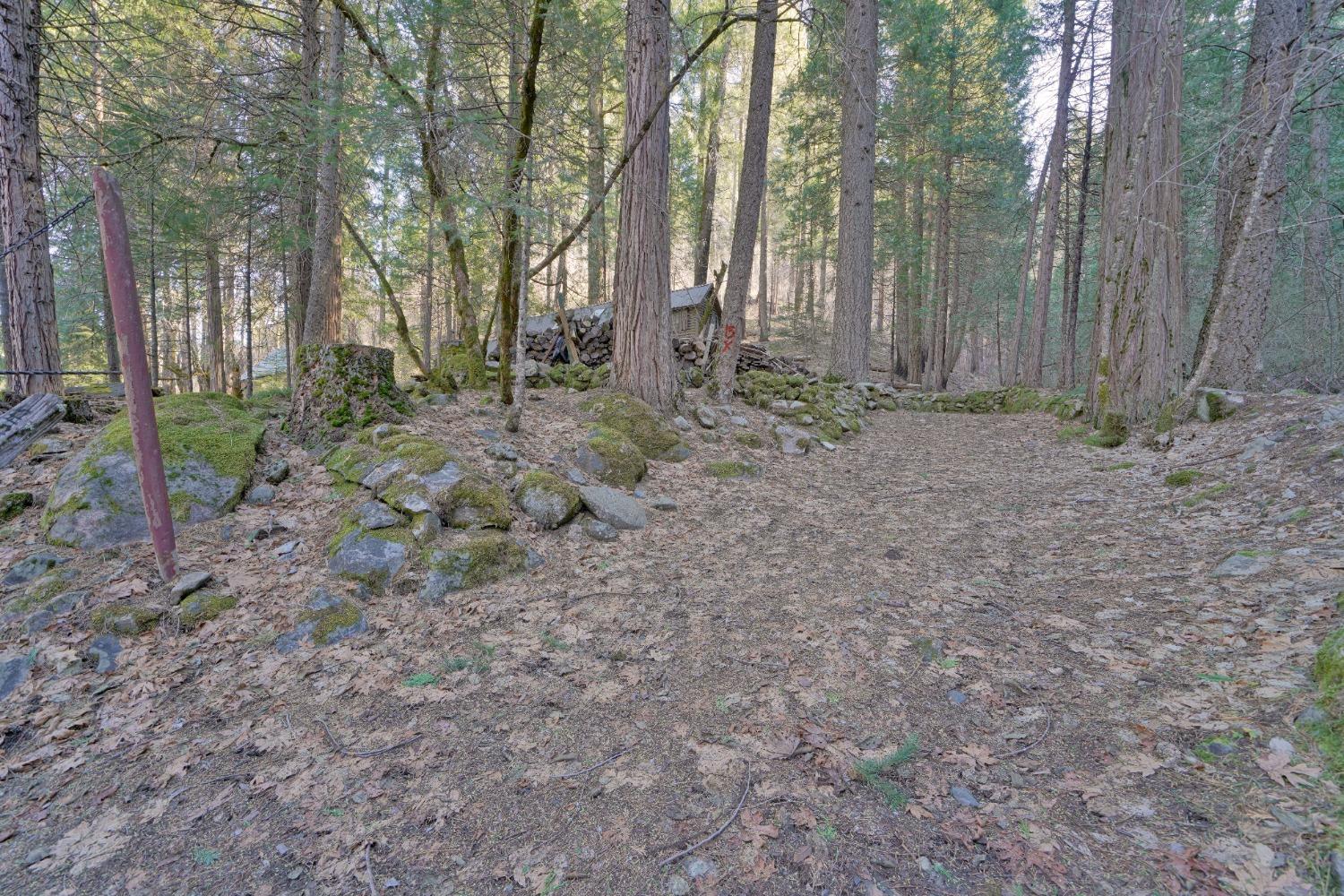 Detail Gallery Image 40 of 40 For 10192 Bull Creek Rd, Pollock Pines,  CA 95726 - 3 Beds | 1 Baths