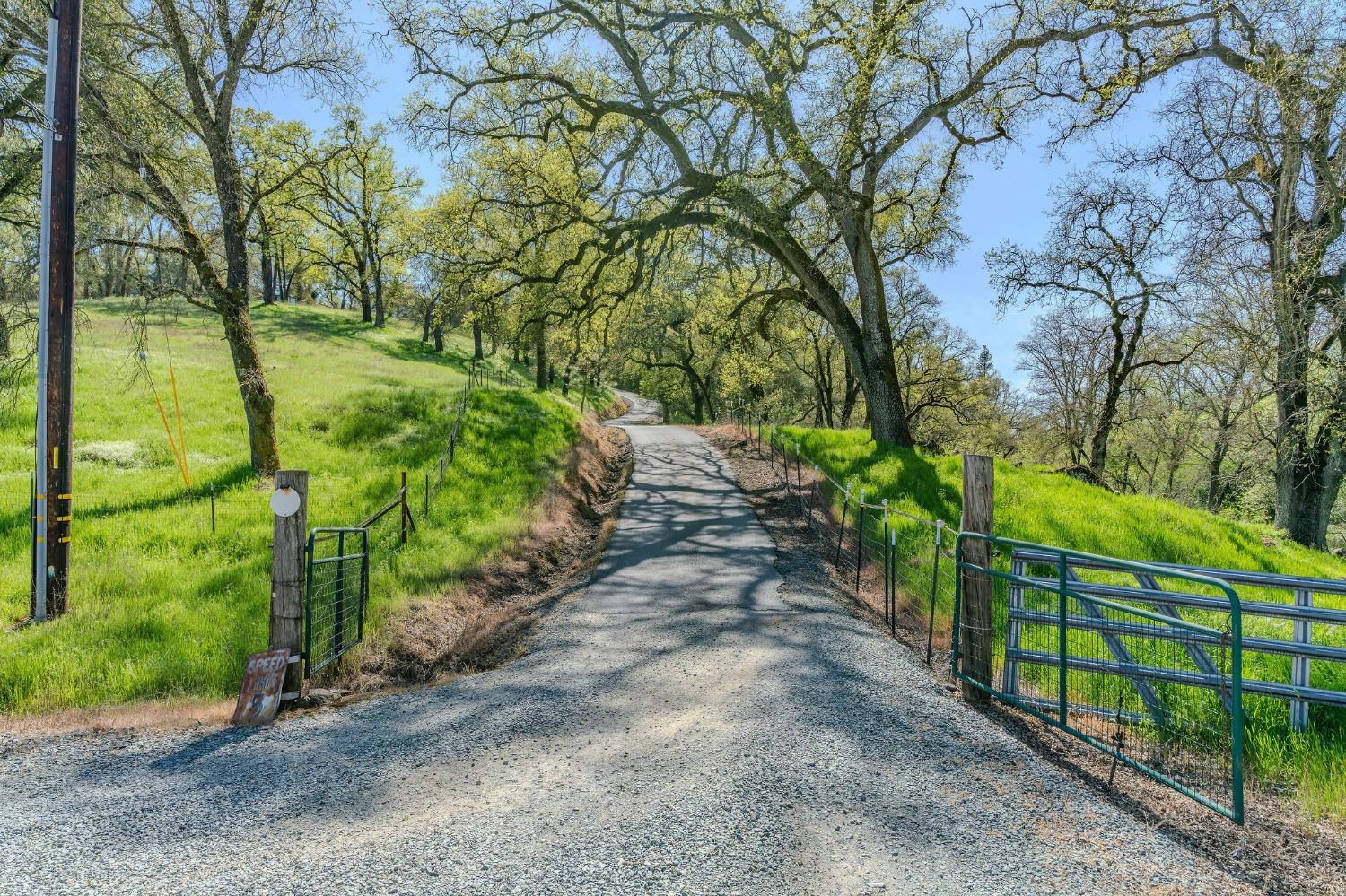 Detail Gallery Image 76 of 98 For 15900 State Highway 88, Jackson,  CA 95642 - 3 Beds | 2 Baths