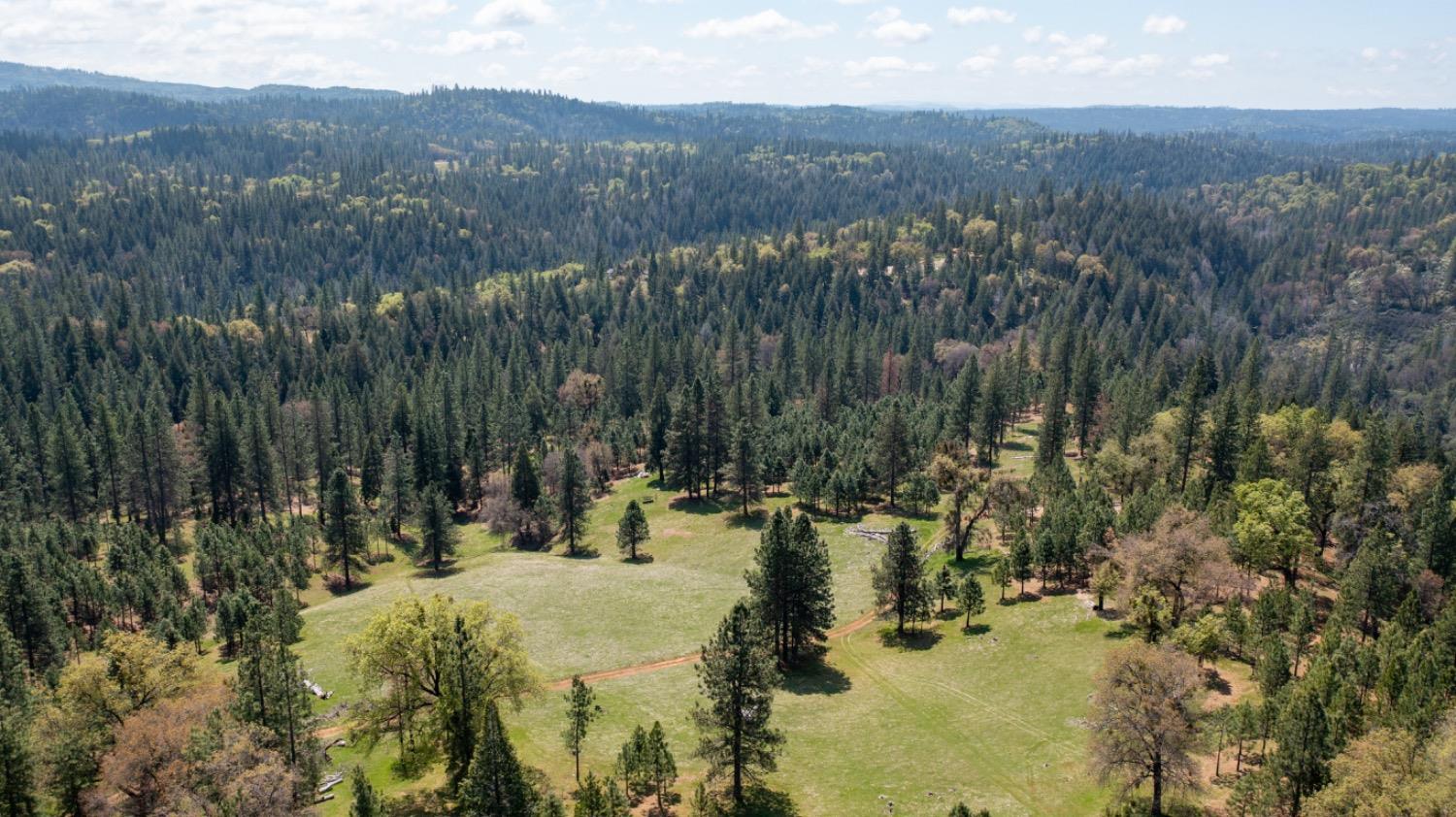 Detail Gallery Image 97 of 99 For 7401 Schaad Rd, Wilseyville,  CA 95257 - 2 Beds | 2 Baths
