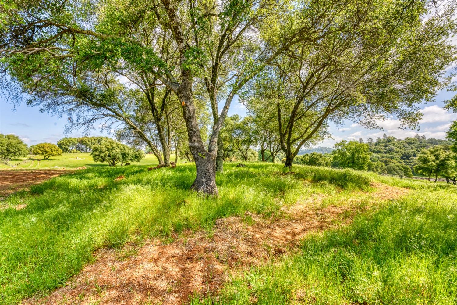 Detail Gallery Image 57 of 58 For 0 South Shingle Rd, Shingle Springs,  CA 95682 - – Beds | – Baths