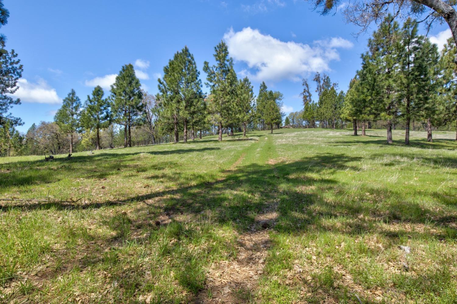 Detail Gallery Image 87 of 99 For 7401 Schaad Rd, Wilseyville,  CA 95257 - 2 Beds | 2 Baths