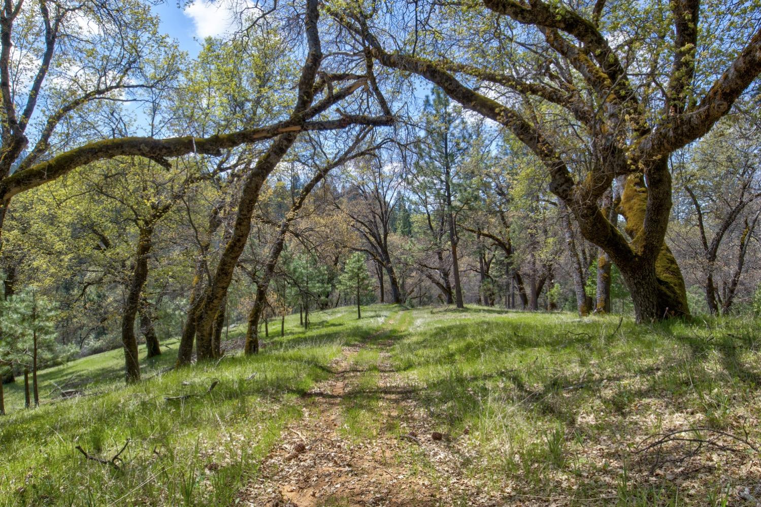 Detail Gallery Image 92 of 99 For 7401 Schaad Rd, Wilseyville,  CA 95257 - 2 Beds | 2 Baths