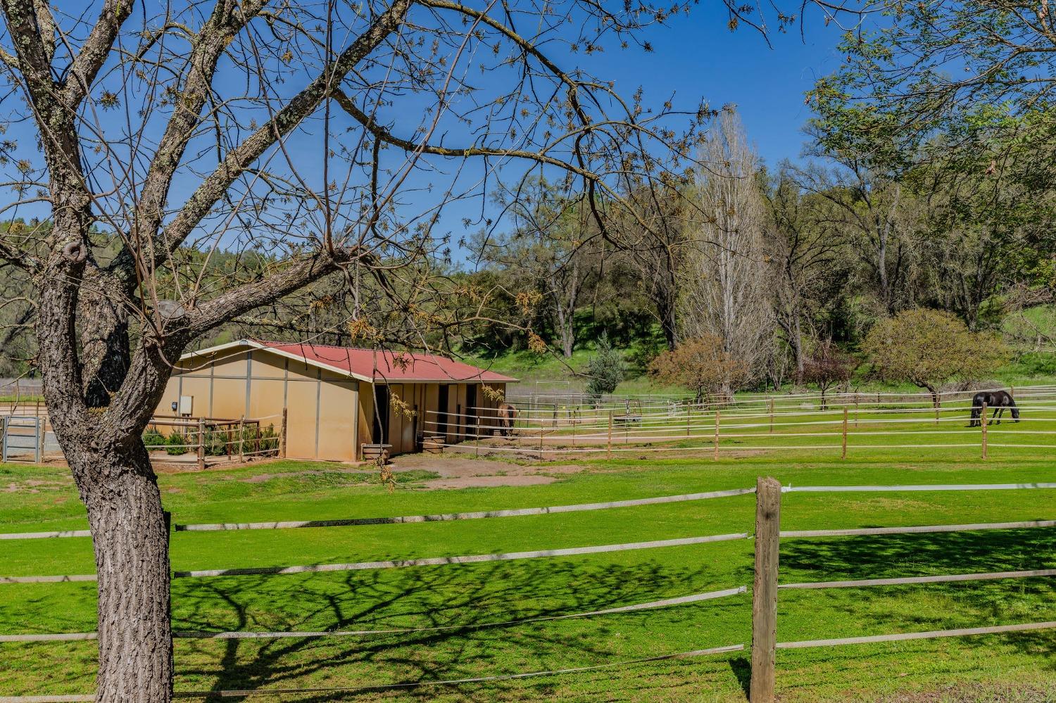 Detail Gallery Image 14 of 98 For 15900 State Highway 88, Jackson,  CA 95642 - 3 Beds | 2 Baths
