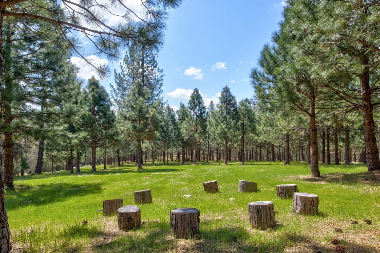 Detail Gallery Image 89 of 99 For 7401 Schaad Rd, Wilseyville,  CA 95257 - 2 Beds | 2 Baths