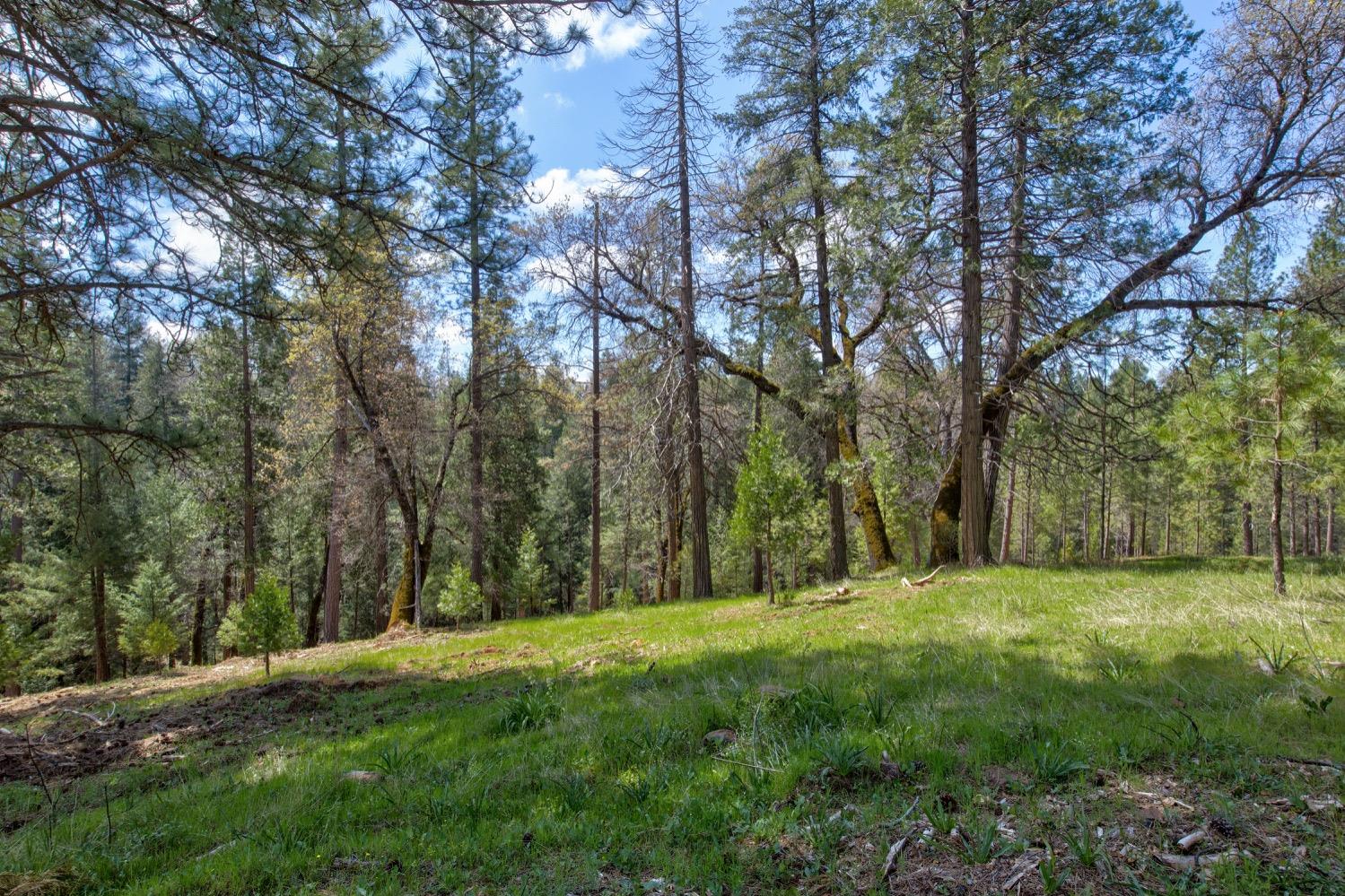 Detail Gallery Image 90 of 99 For 7401 Schaad Rd, Wilseyville,  CA 95257 - 2 Beds | 2 Baths
