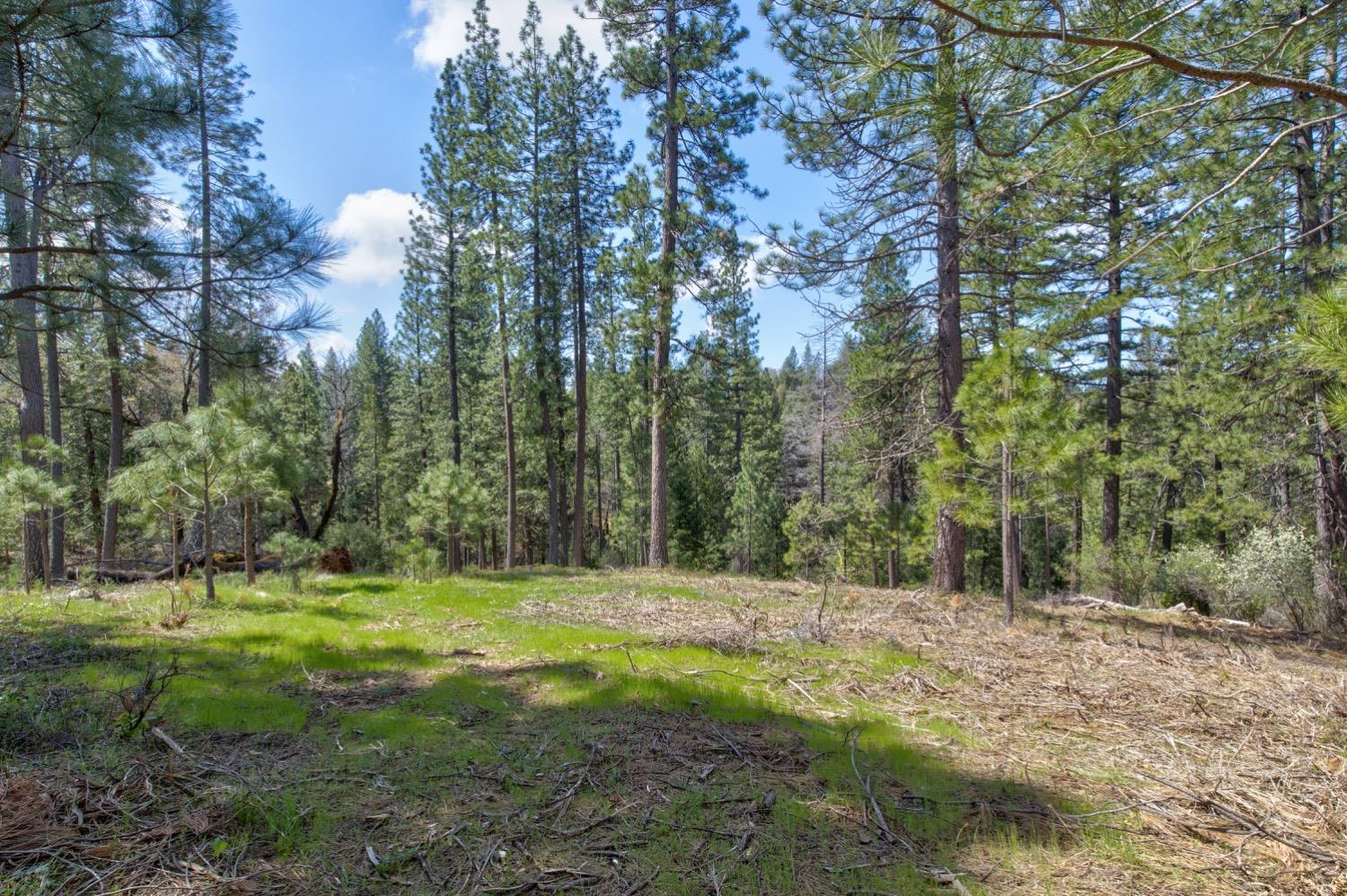 Detail Gallery Image 79 of 99 For 7401 Schaad Rd, Wilseyville,  CA 95257 - 2 Beds | 2 Baths