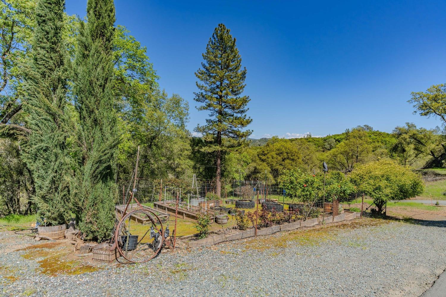 Detail Gallery Image 53 of 98 For 15900 State Highway 88, Jackson,  CA 95642 - 3 Beds | 2 Baths