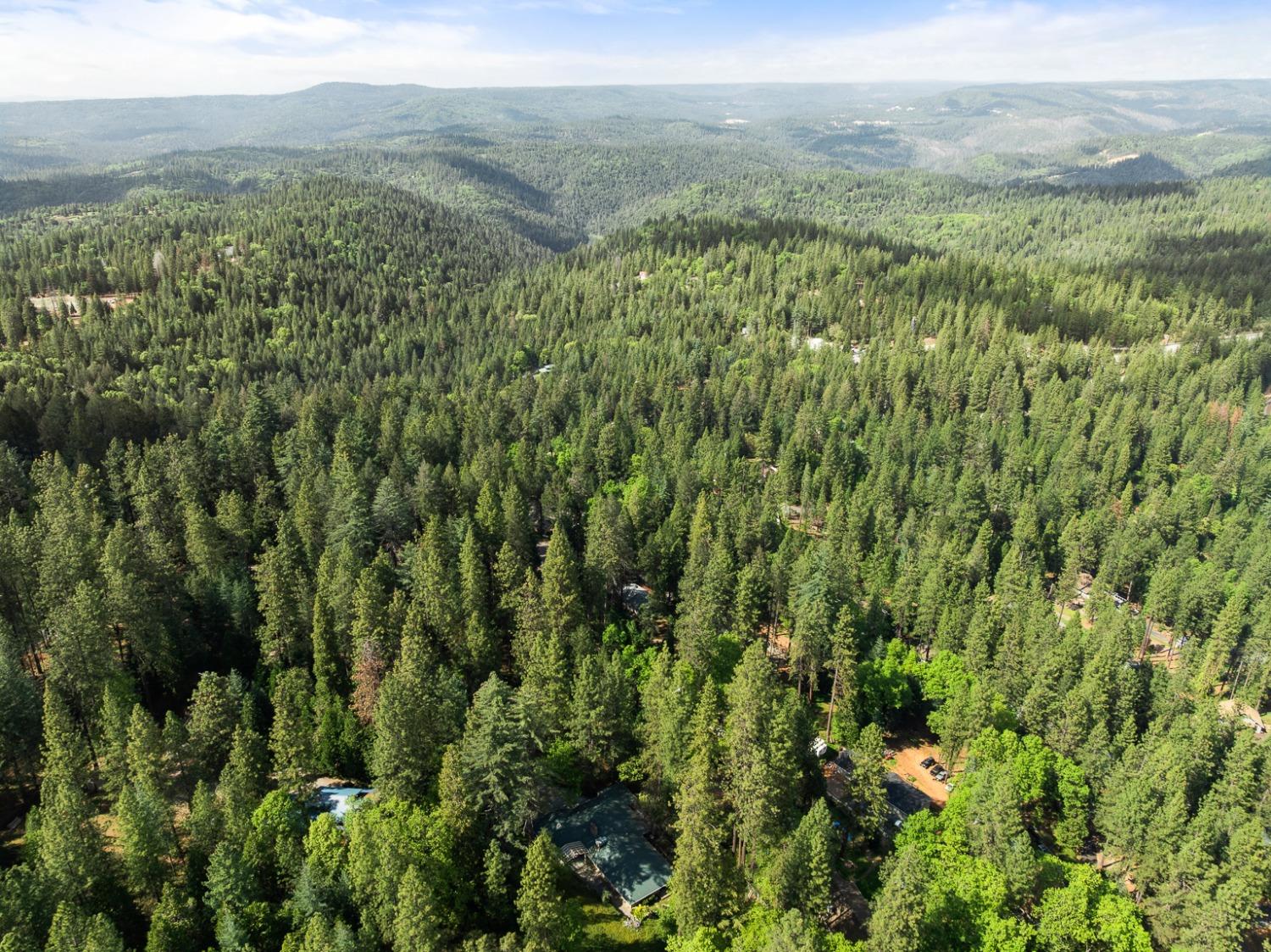 Detail Gallery Image 55 of 58 For 339 Alpine Dr, Colfax,  CA 95713 - 3 Beds | 3/1 Baths