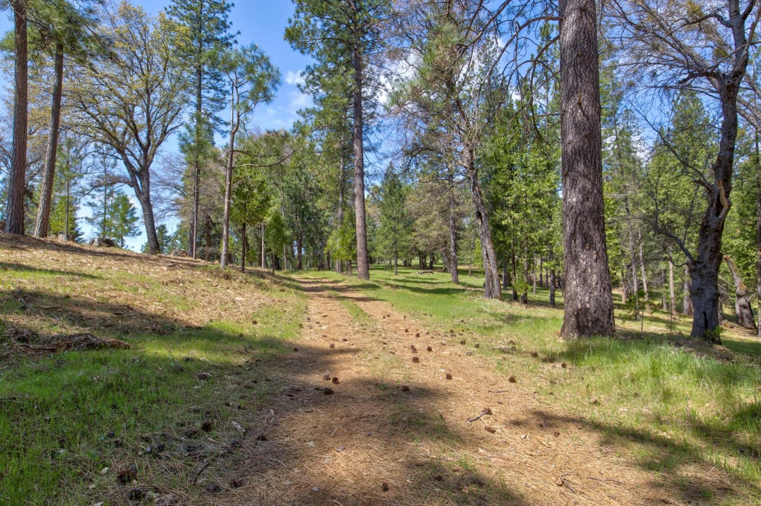 Detail Gallery Image 83 of 99 For 7401 Schaad Rd, Wilseyville,  CA 95257 - 2 Beds | 2 Baths
