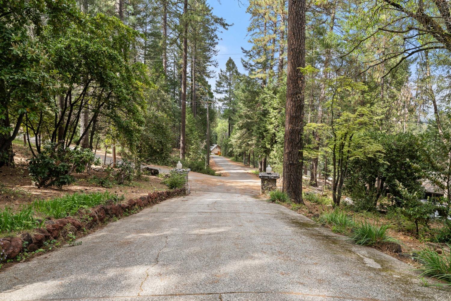 Detail Gallery Image 51 of 58 For 339 Alpine Dr, Colfax,  CA 95713 - 3 Beds | 3/1 Baths