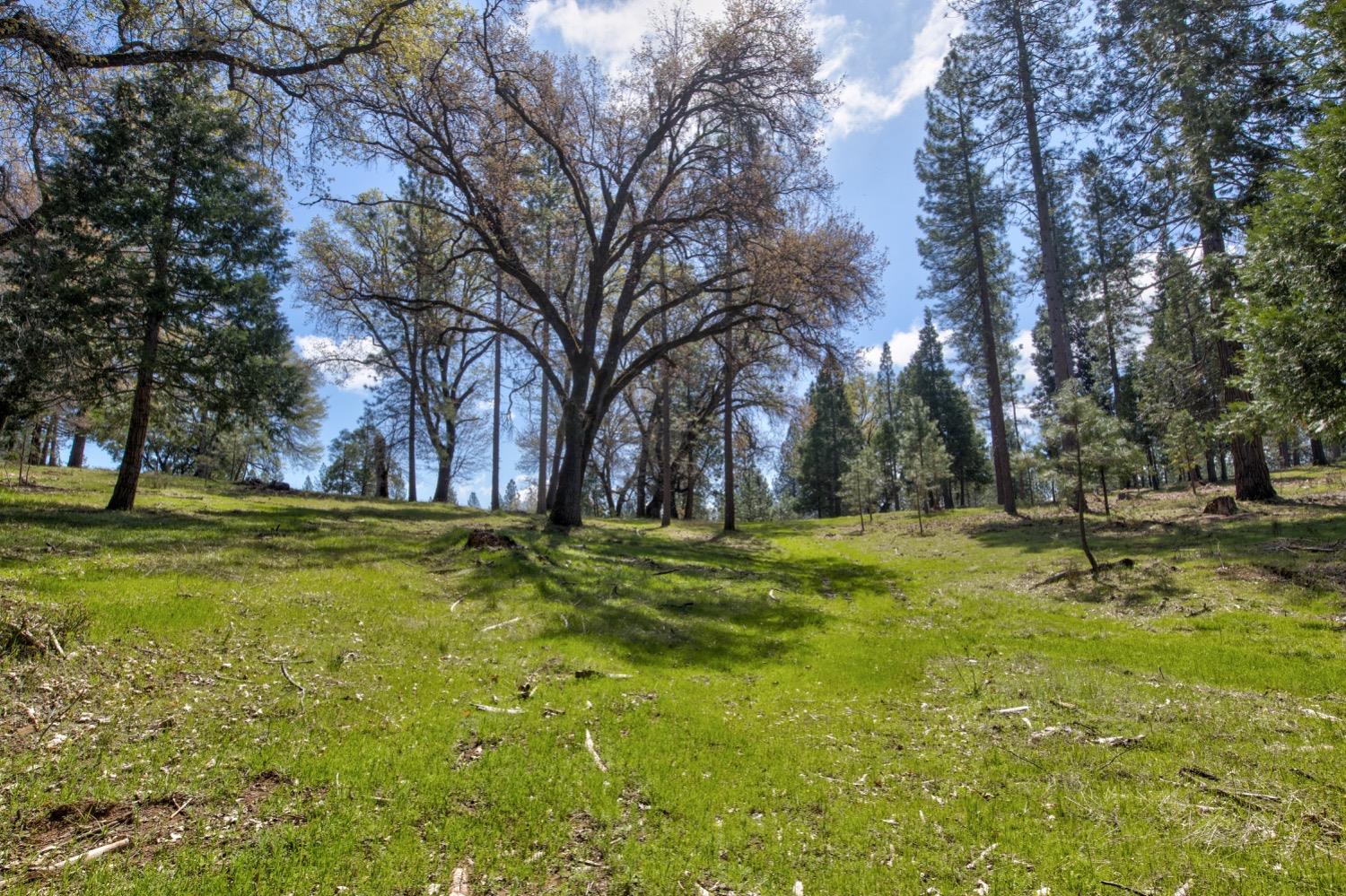 Detail Gallery Image 82 of 99 For 7401 Schaad Rd, Wilseyville,  CA 95257 - 2 Beds | 2 Baths
