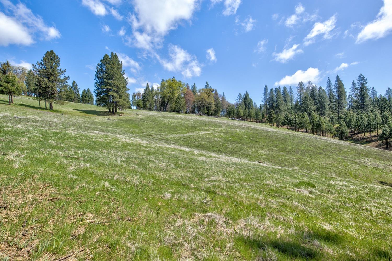 Detail Gallery Image 94 of 99 For 7401 Schaad Rd, Wilseyville,  CA 95257 - 2 Beds | 2 Baths