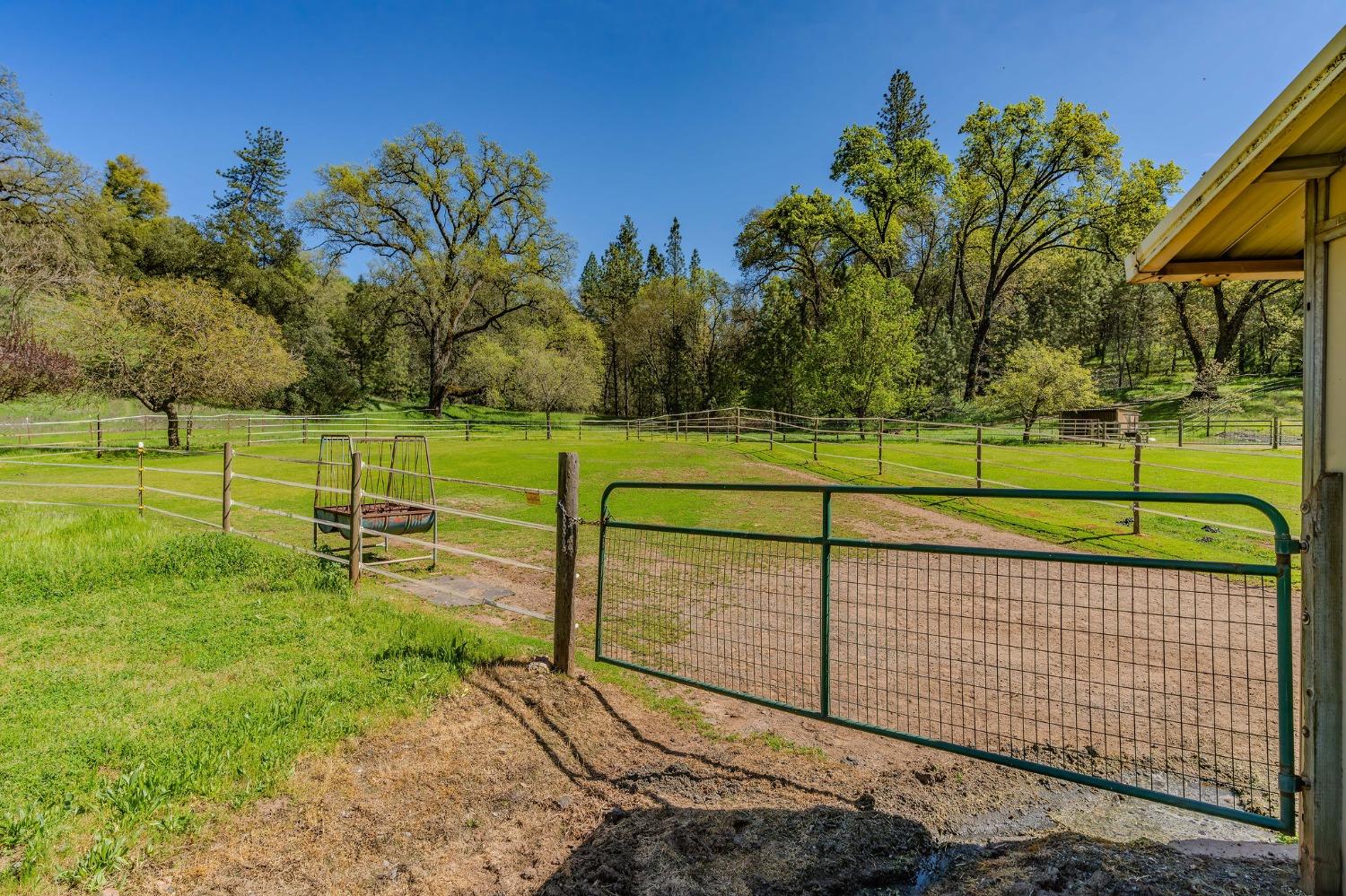 Detail Gallery Image 80 of 98 For 15900 State Highway 88, Jackson,  CA 95642 - 3 Beds | 2 Baths
