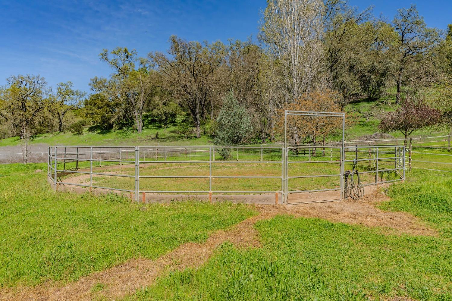Detail Gallery Image 81 of 98 For 15900 State Highway 88, Jackson,  CA 95642 - 3 Beds | 2 Baths