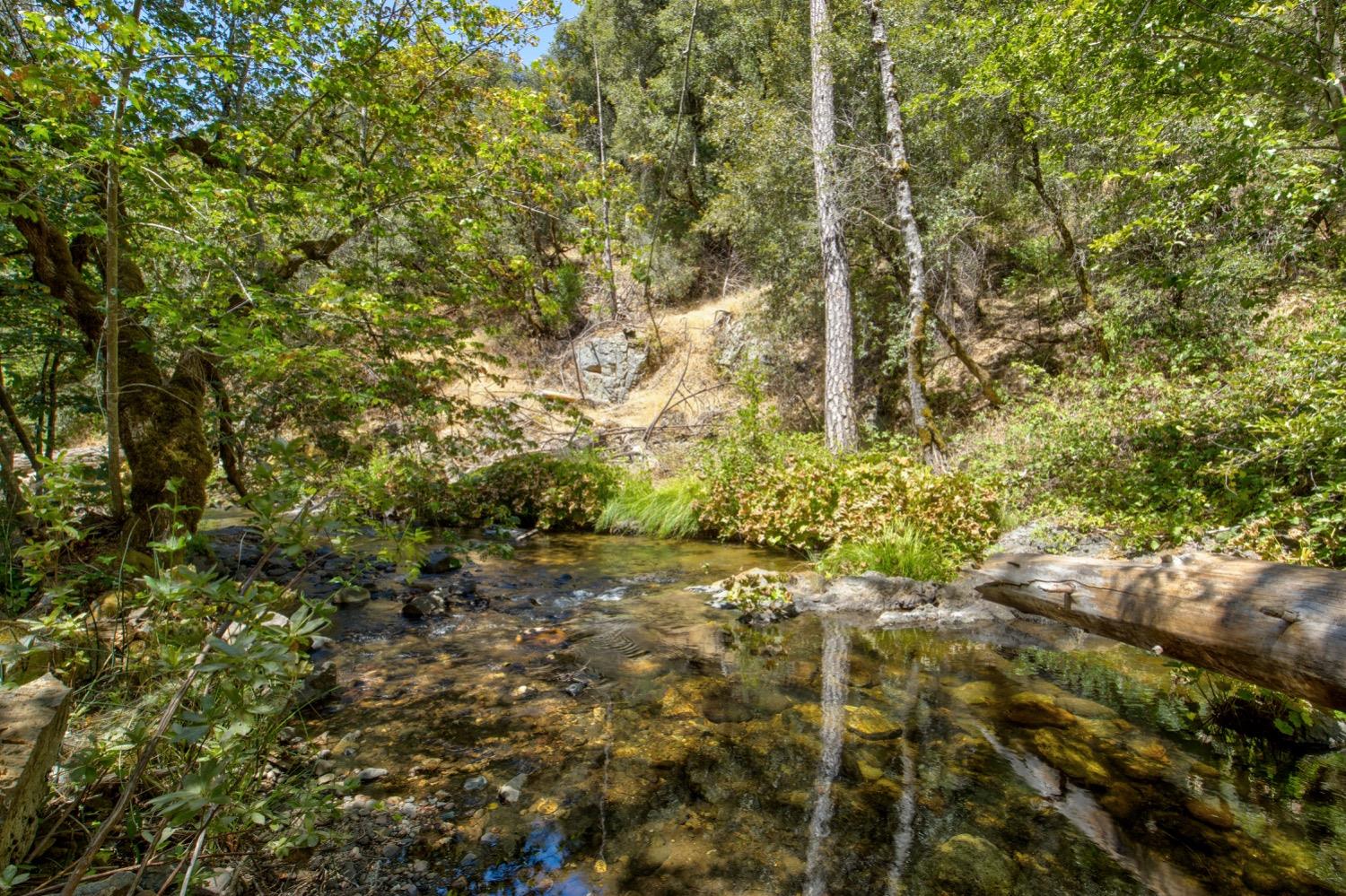 Detail Gallery Image 75 of 99 For 7401 Schaad Rd, Wilseyville,  CA 95257 - 2 Beds | 2 Baths