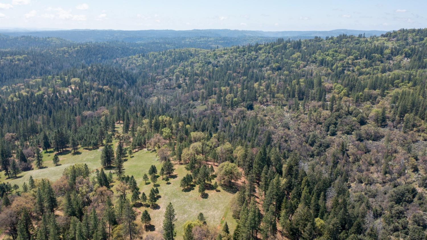 Detail Gallery Image 98 of 99 For 7401 Schaad Rd, Wilseyville,  CA 95257 - 2 Beds | 2 Baths