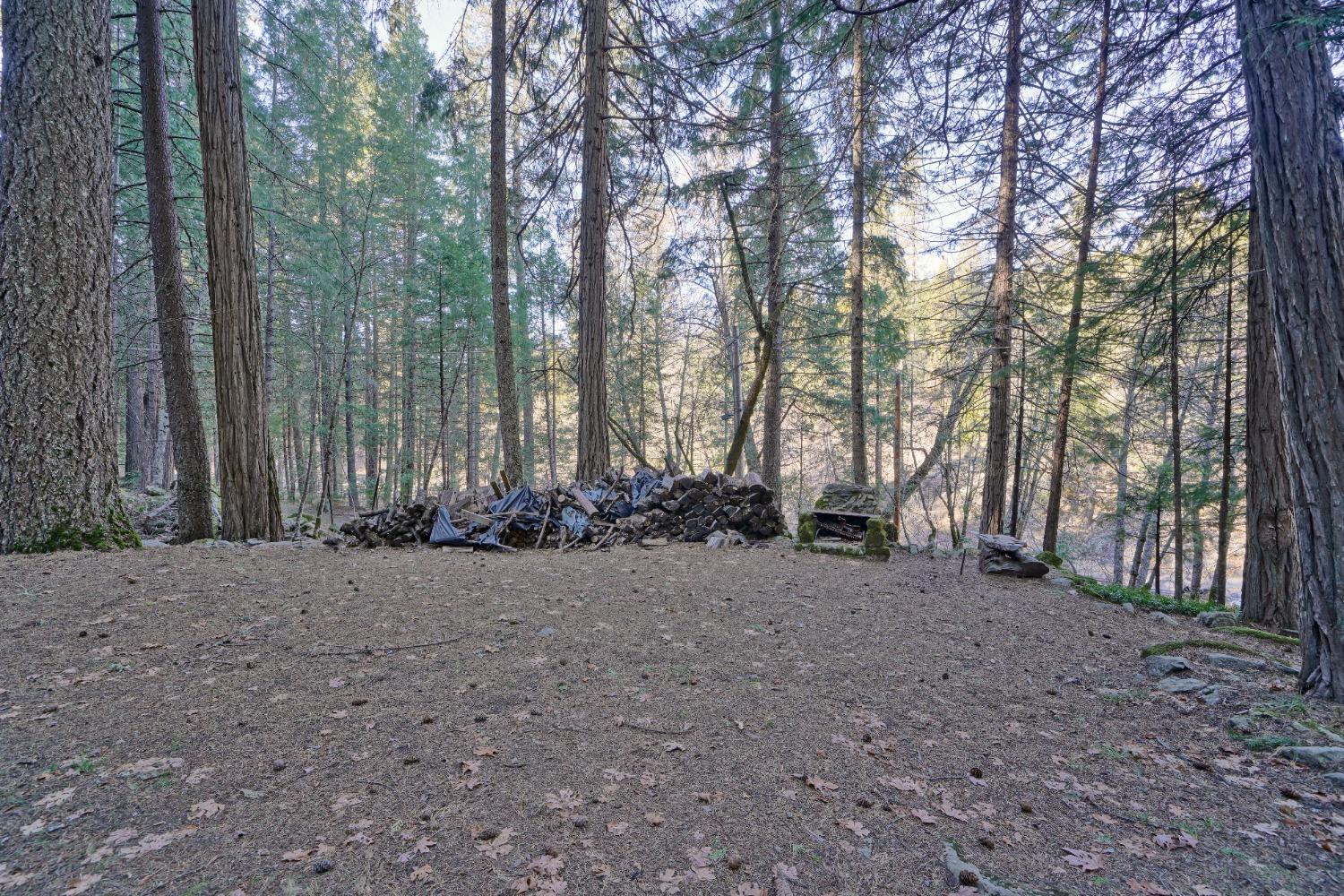 Detail Gallery Image 25 of 40 For 10192 Bull Creek Rd, Pollock Pines,  CA 95726 - 3 Beds | 1 Baths