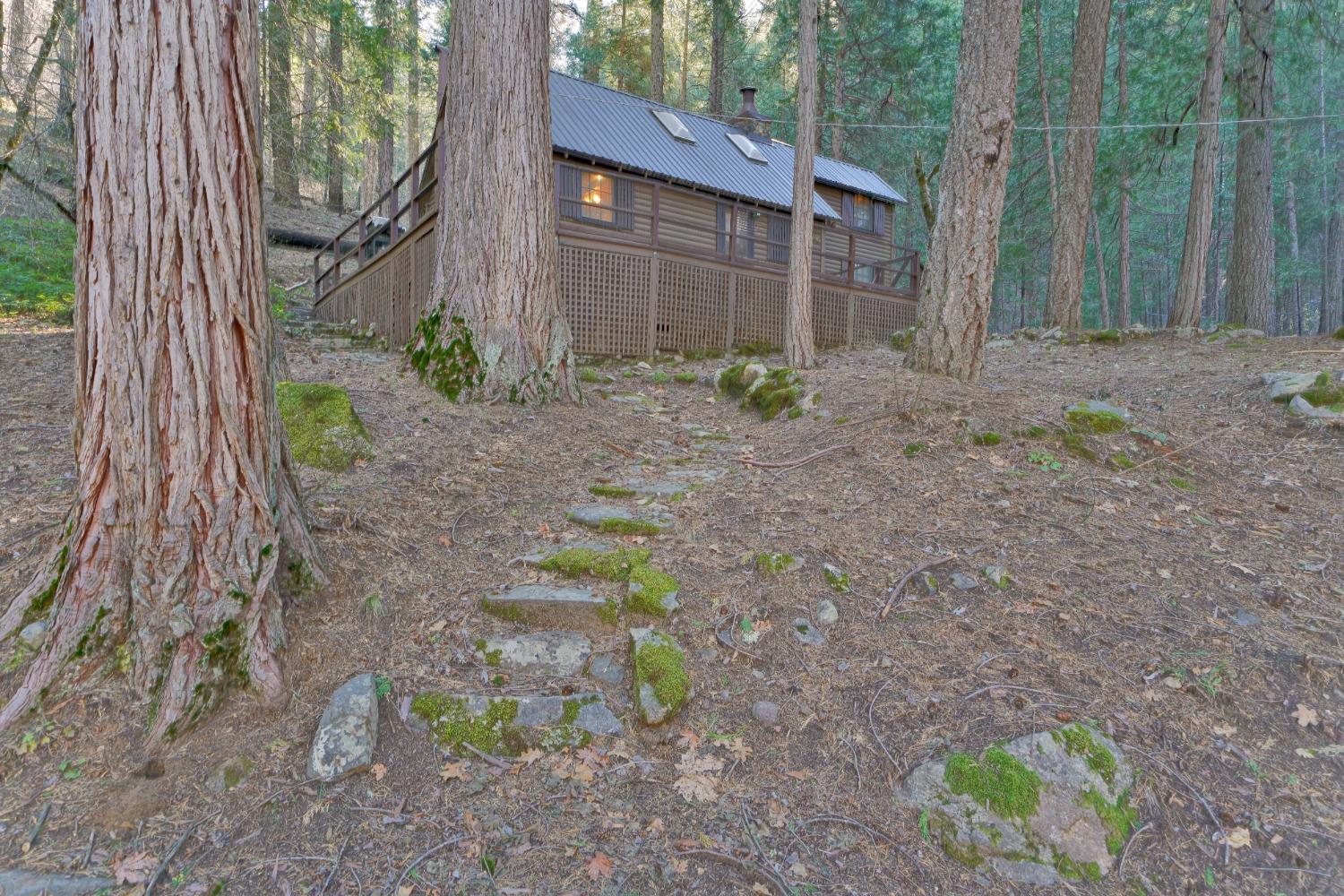 Detail Gallery Image 29 of 40 For 10192 Bull Creek Rd, Pollock Pines,  CA 95726 - 3 Beds | 1 Baths