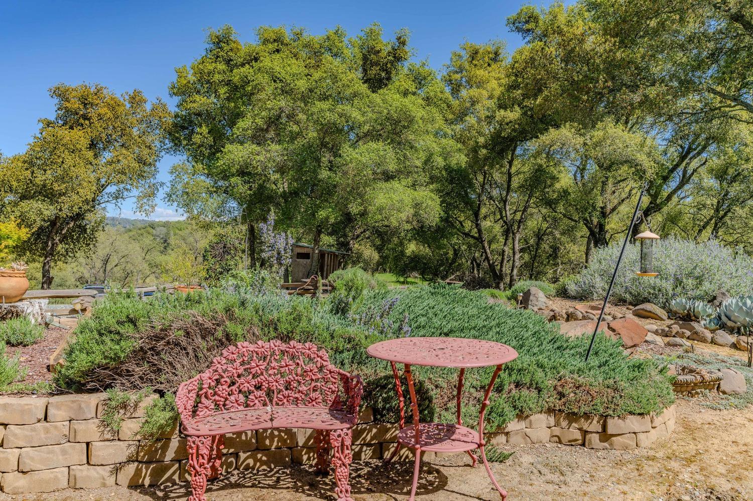 Detail Gallery Image 59 of 98 For 15900 State Highway 88, Jackson,  CA 95642 - 3 Beds | 2 Baths