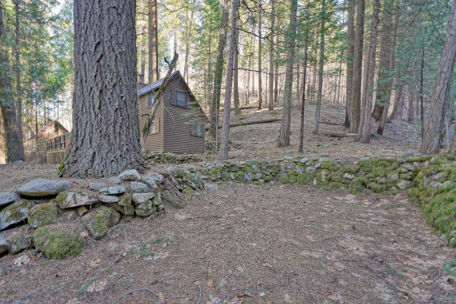 Detail Gallery Image 23 of 40 For 10192 Bull Creek Rd, Pollock Pines,  CA 95726 - 3 Beds | 1 Baths
