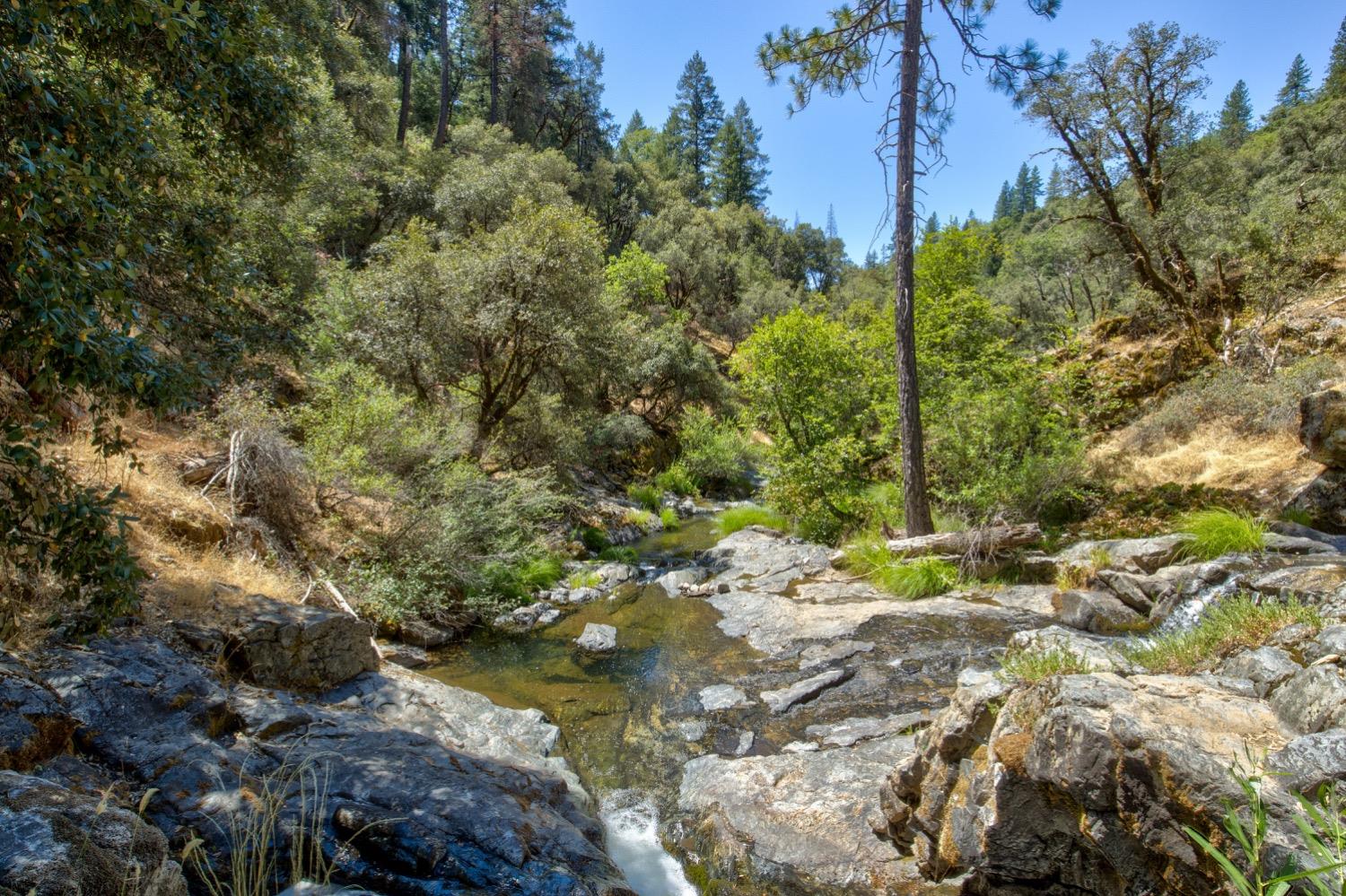 Detail Gallery Image 76 of 99 For 7401 Schaad Rd, Wilseyville,  CA 95257 - 2 Beds | 2 Baths