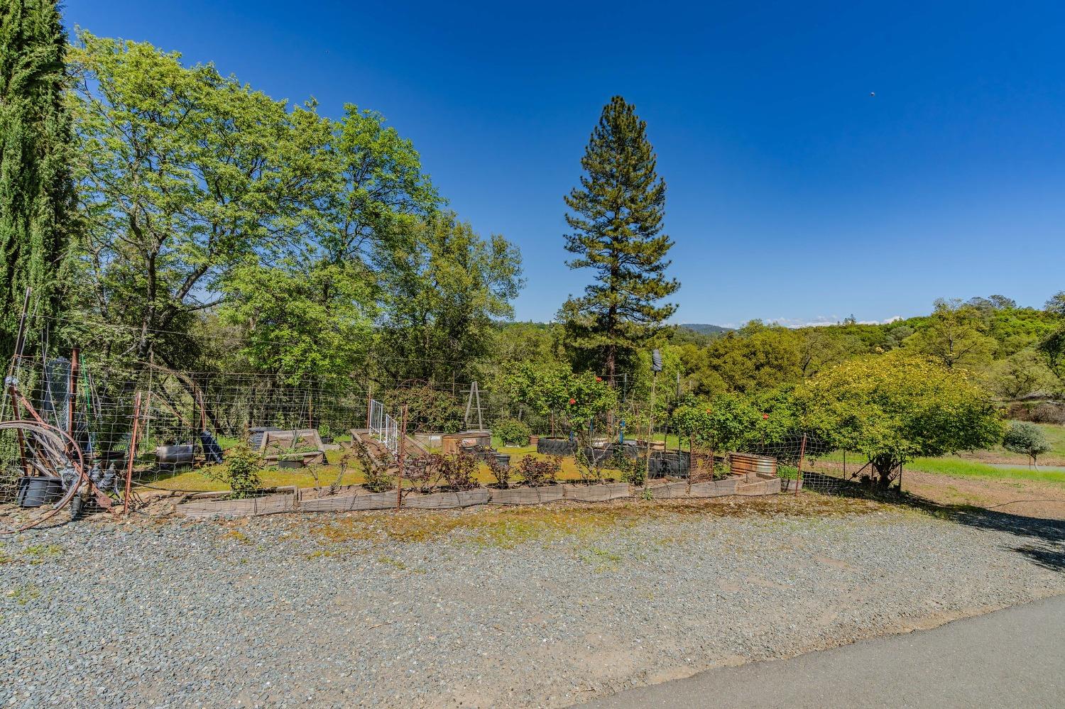 Detail Gallery Image 68 of 98 For 15900 State Highway 88, Jackson,  CA 95642 - 3 Beds | 2 Baths
