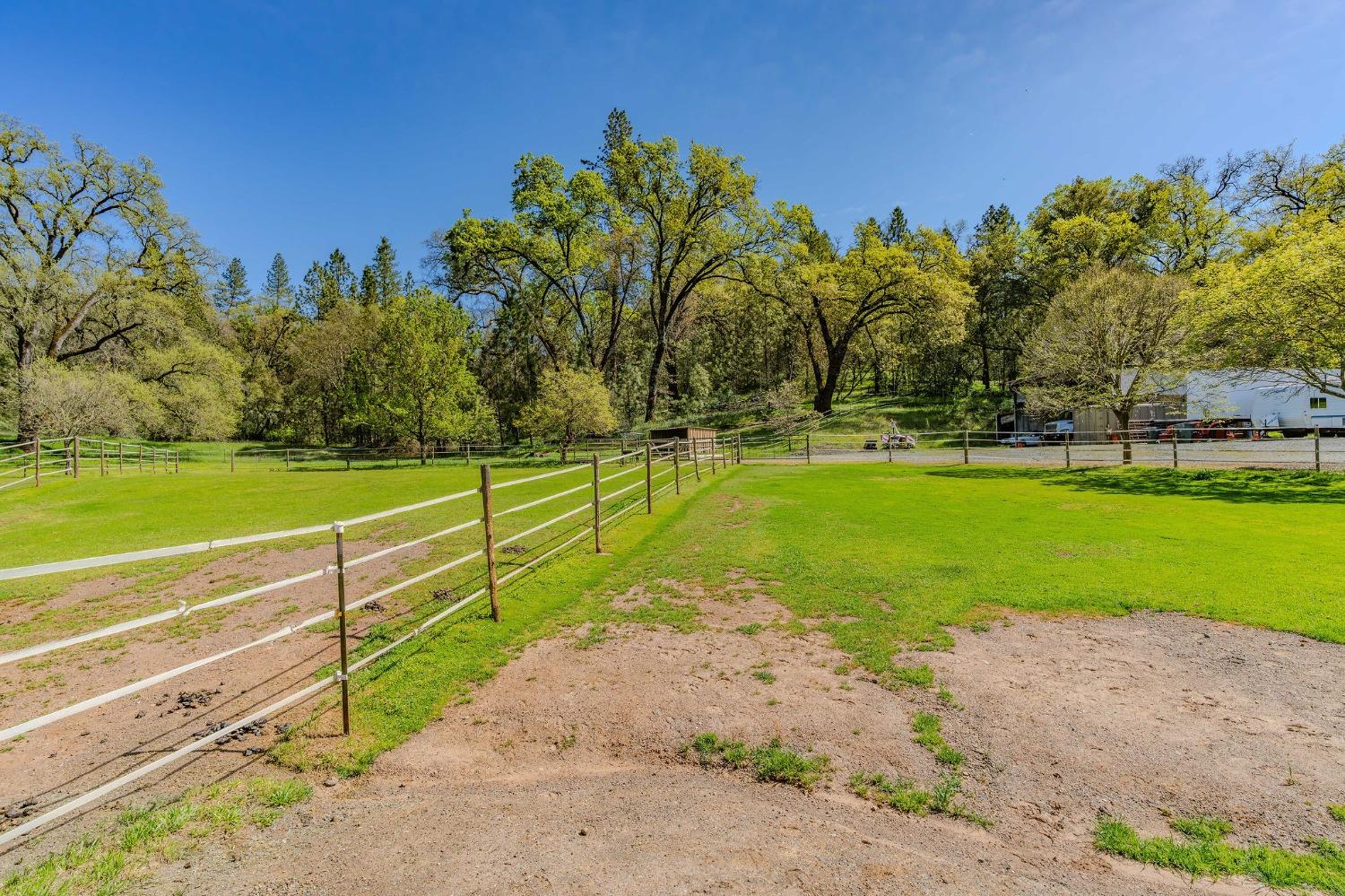 Detail Gallery Image 83 of 98 For 15900 State Highway 88, Jackson,  CA 95642 - 3 Beds | 2 Baths
