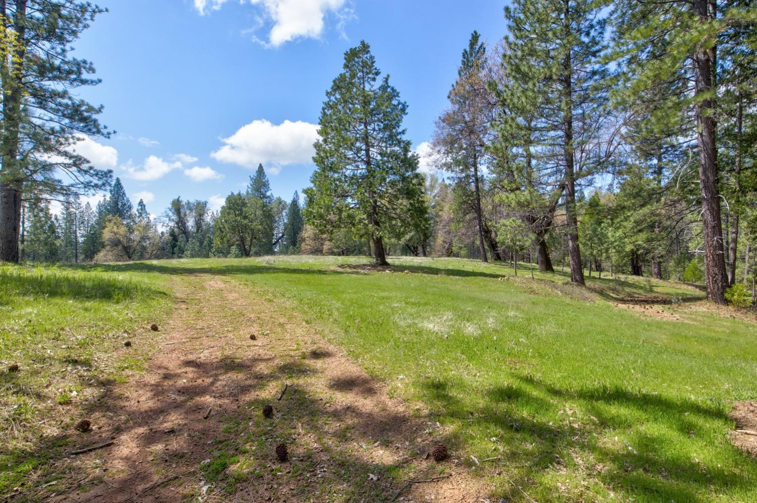 Detail Gallery Image 80 of 99 For 7401 Schaad Rd, Wilseyville,  CA 95257 - 2 Beds | 2 Baths