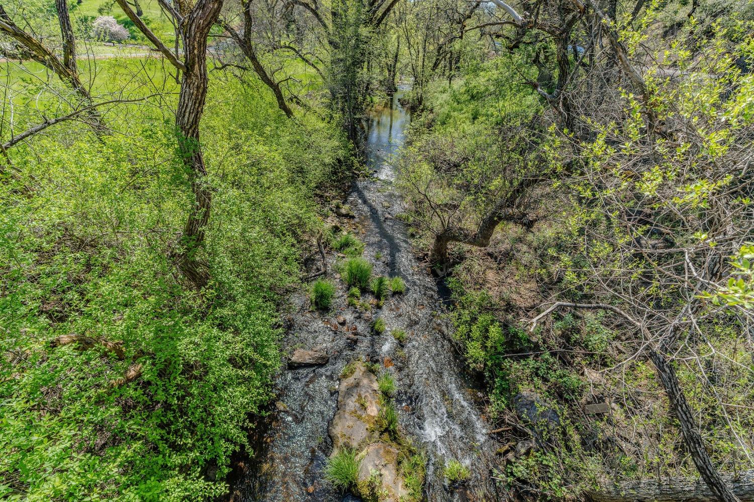 Detail Gallery Image 73 of 98 For 15900 State Highway 88, Jackson,  CA 95642 - 3 Beds | 2 Baths