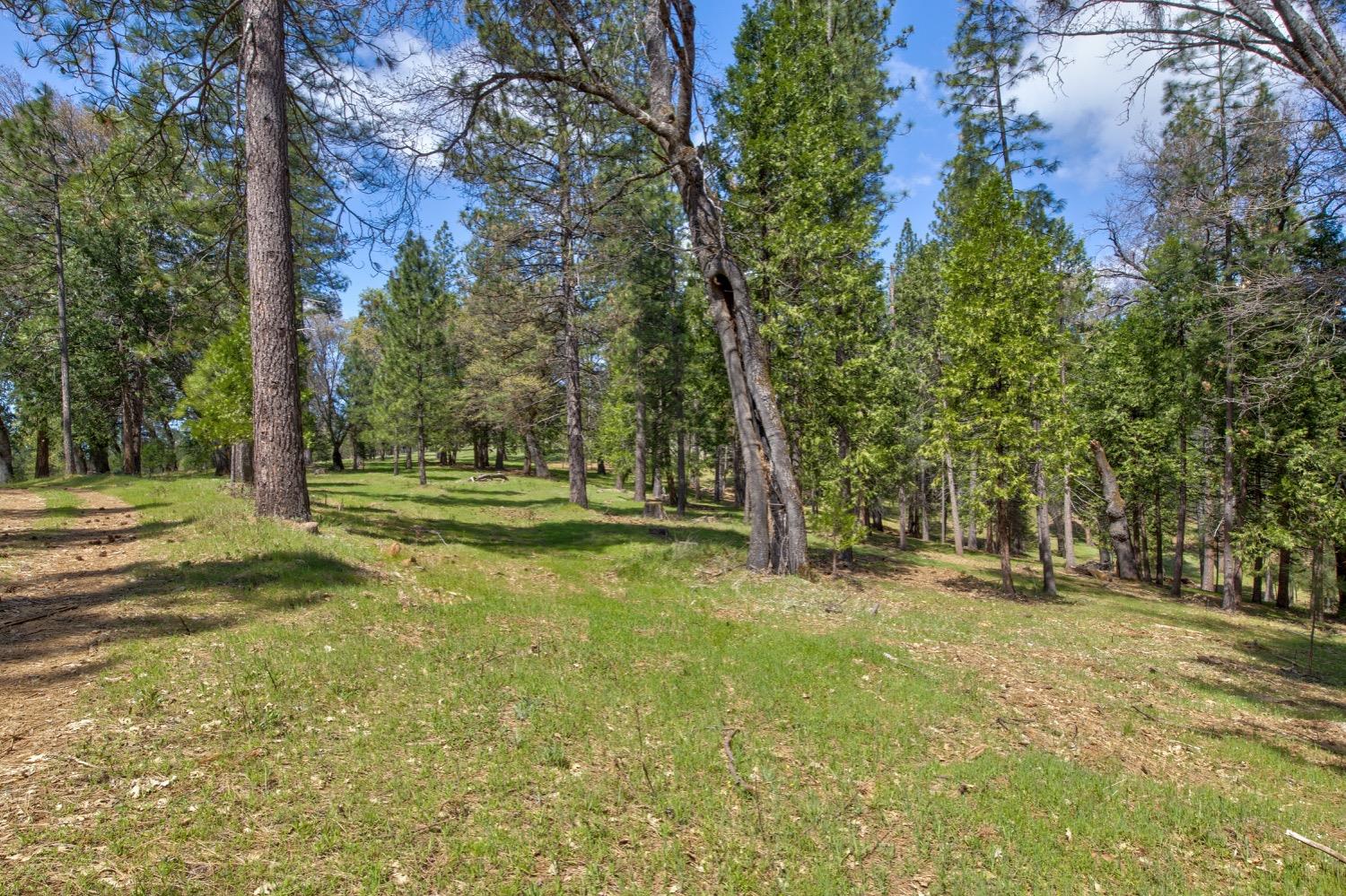 Detail Gallery Image 84 of 99 For 7401 Schaad Rd, Wilseyville,  CA 95257 - 2 Beds | 2 Baths