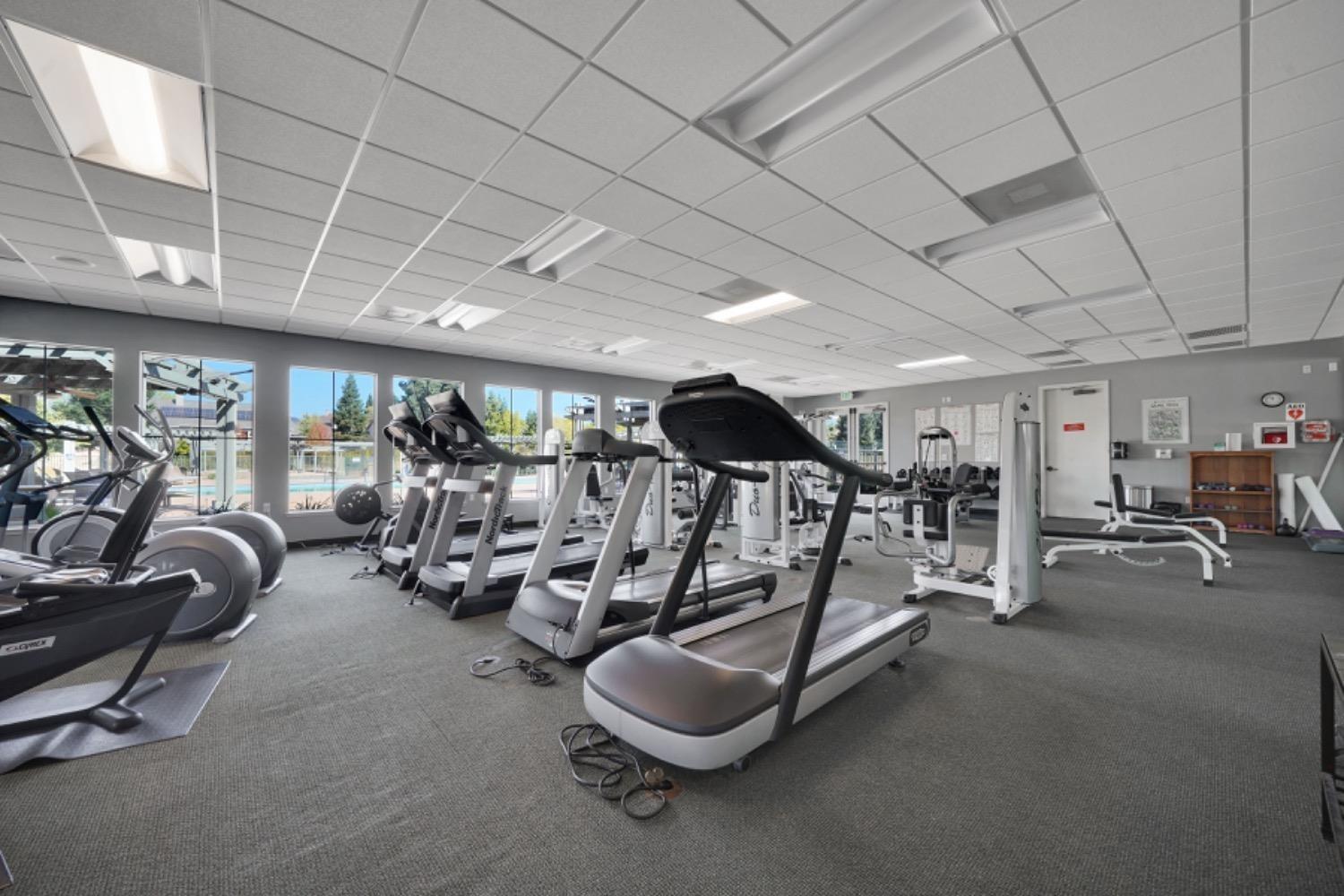 Detail Gallery Image 94 of 99 For 285 Knolls Dr, Copperopolis,  CA 95228 - 3 Beds | 3/1 Baths