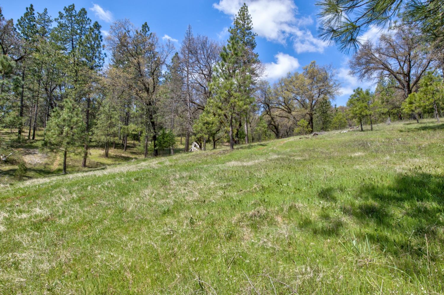 Detail Gallery Image 93 of 99 For 7401 Schaad Rd, Wilseyville,  CA 95257 - 2 Beds | 2 Baths