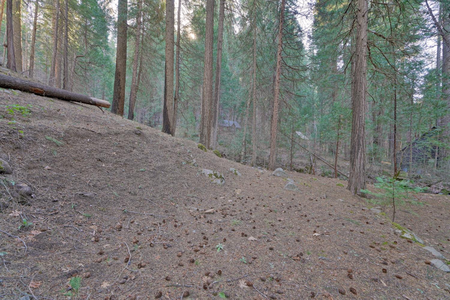 Detail Gallery Image 32 of 40 For 10192 Bull Creek Rd, Pollock Pines,  CA 95726 - 3 Beds | 1 Baths