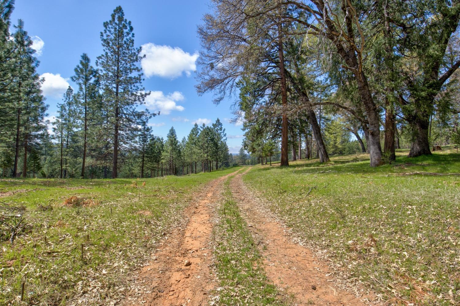 Detail Gallery Image 85 of 99 For 7401 Schaad Rd, Wilseyville,  CA 95257 - 2 Beds | 2 Baths
