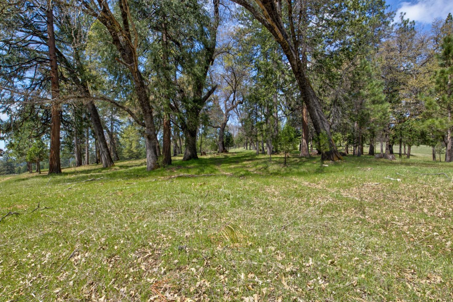 Detail Gallery Image 86 of 99 For 7401 Schaad Rd, Wilseyville,  CA 95257 - 2 Beds | 2 Baths