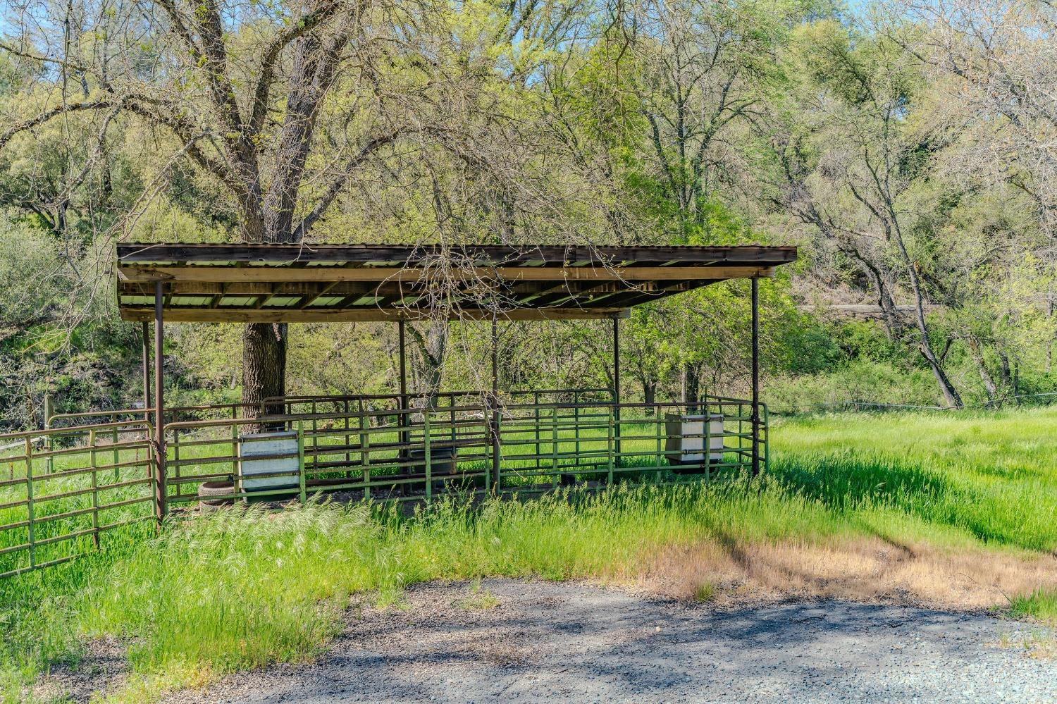 Detail Gallery Image 71 of 98 For 15900 State Highway 88, Jackson,  CA 95642 - 3 Beds | 2 Baths