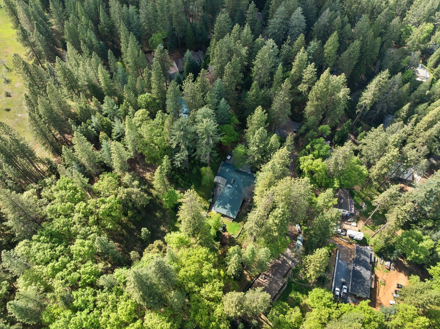 Detail Gallery Image 57 of 58 For 339 Alpine Dr, Colfax,  CA 95713 - 3 Beds | 3/1 Baths
