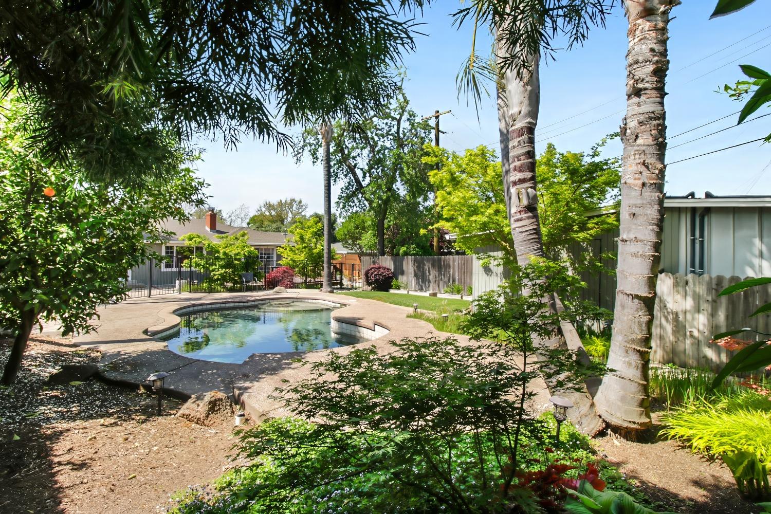 Lani Lane, Carmichael, California image 42